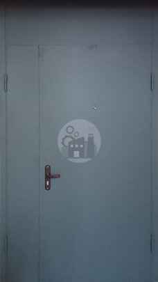 Стальная двустворчатая дверь с глазком и верхней вставкой, окрас нитроэмаль-ДВ-1370