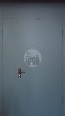 стальная двустворчатая дверь с глазком и верхней вставкой, окрас нитроэмаль-ДВ-1370