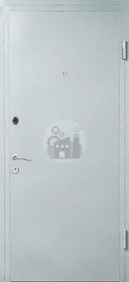 входная металлическая дверь, окрашенная нитроэмалью, с двумя замками-ДВ-1226