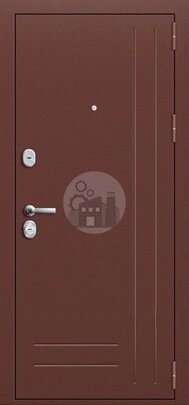 Входная дверь с порошковым окрасом и Vinorit, три петли-ДВ-263
