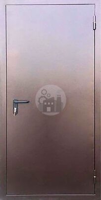 техническая дверь с доводчиком, окрас нитроэмаль-ДВ-970
